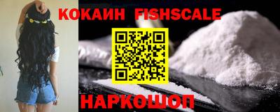 шишки Можга
