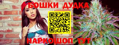 ALPHA PVP Моздок