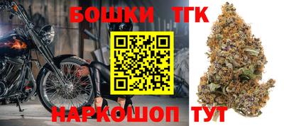шишки Можга