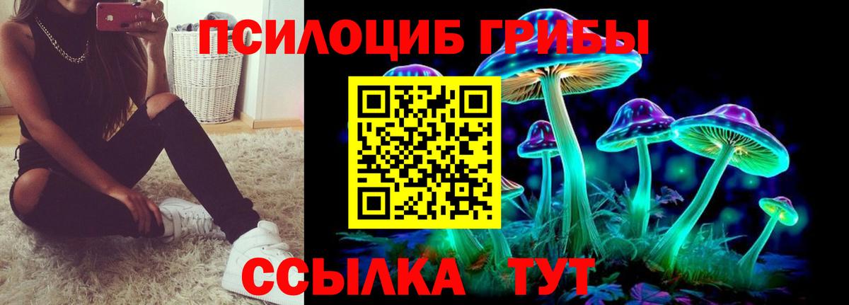 Псилоцибиновые грибы Psilocybine cubensis  Вход с VPN  Улан-Удэ  Галлюциногенные грибы Psilocybe 